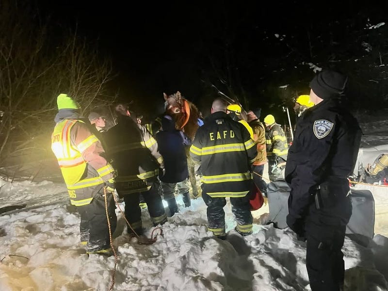 Two horses that fell into a pond Monday night were rescued by volunteer firefighters.