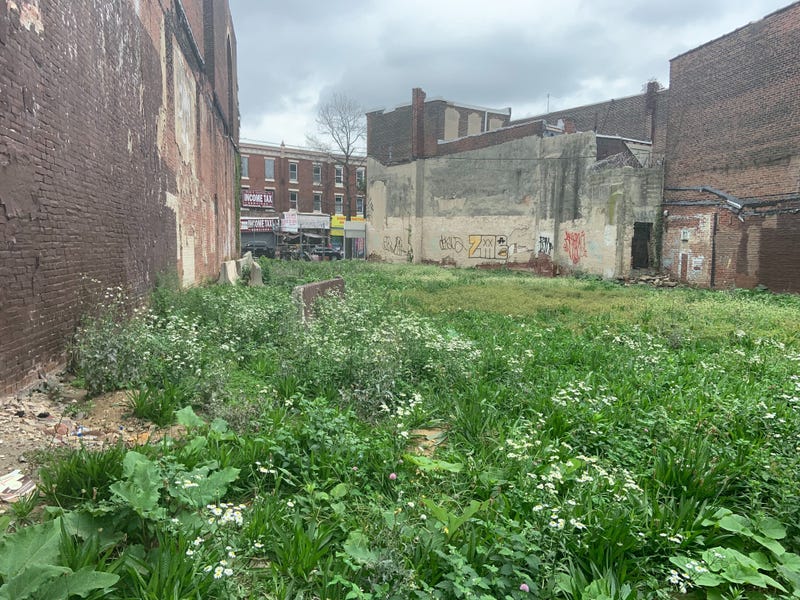 Vacant land in Hunting Park where dozens of rats have been discovered.