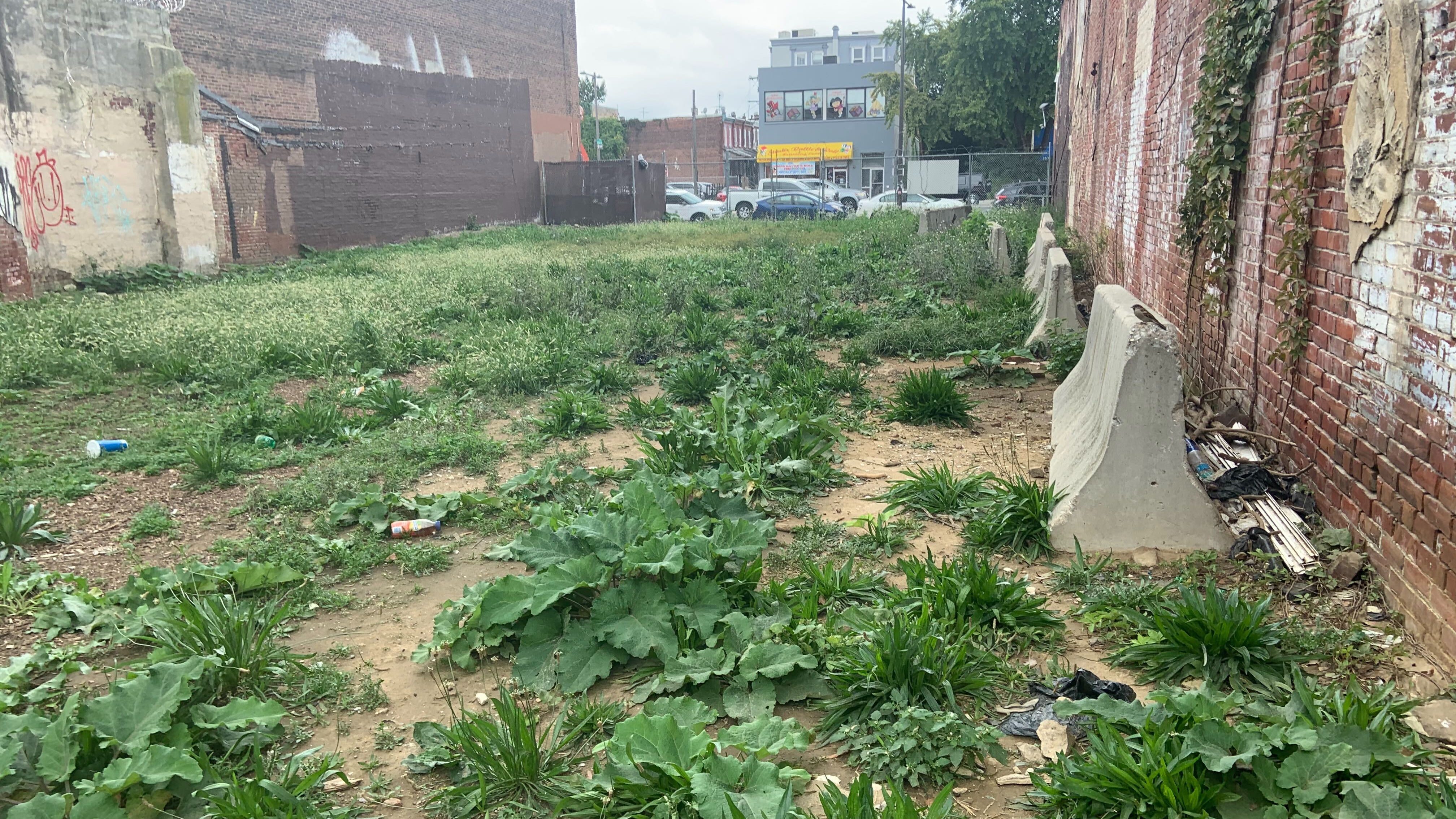 'All I want is the rats cleaned up': Hunting Park neighbors complain of rodent infestation
