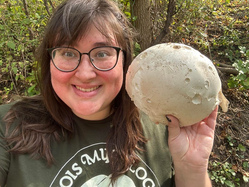 Kate Golembiewski poses with a giant puffball, the Illinois State Mushroom. The giant puffball will be on display at the Chicago Botanic Garden Sunday as part of the Illinois Mycological Association's annual mushroom show.