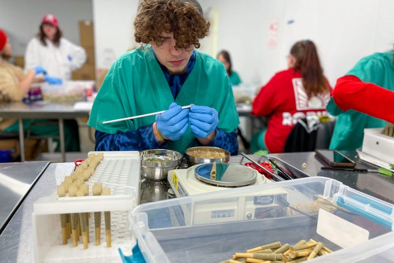 Skyler Berry makes pre-rolled joints at the Robust Cannabis production facility in Cuba, Mo. on May 2, 2023.