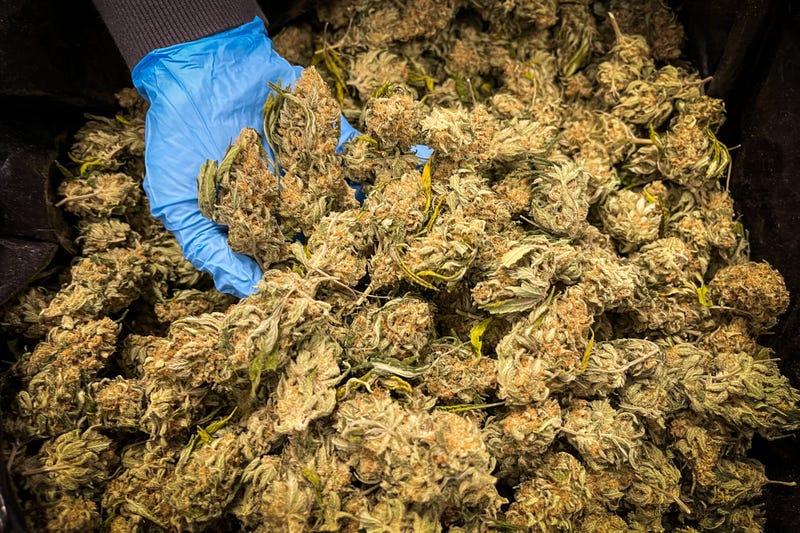 Delta Extraction’s license revocation is the center of a lawsuit playing out in St. Louis courts between a complex web of shareholders seeking to snatch back ownership of a Waynesville facility.