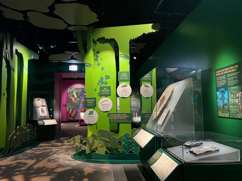 A look inside the Field Museum's newest exhibit "After the Age of Dinosaurs." It opens Friday, August 29.