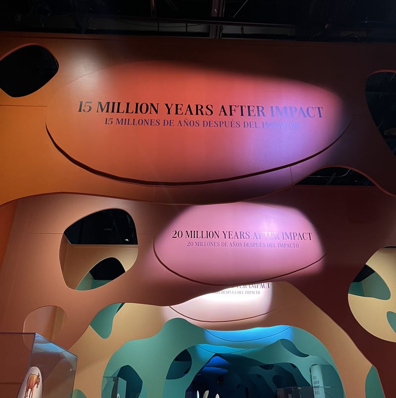 The Field Museum's new exhibit "After the Age of Dinosaurs" ends by taking visitors through a "time tunnel." You can catch the exhibit at the Field starting Friday, August 29.