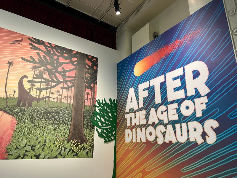 The Field Museum's latest exhibit "After the Age of Dinosaurs" explores what life on Earth was like following the asteroid impact that reshaped the world. It opens Friday, August 29.