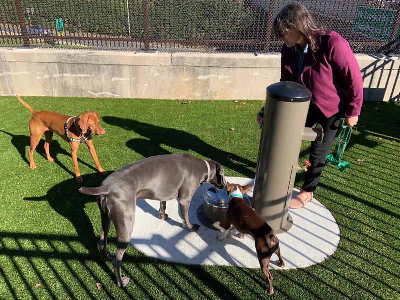 Winter Street Greenway dog run and playground in Logan Square