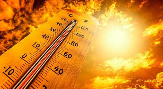 Thermometer 