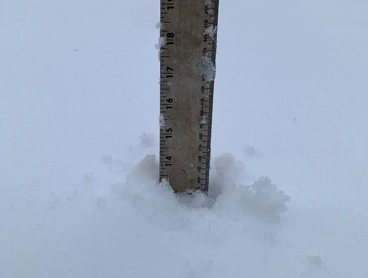 Ruler measuring about a foot of snow after snowstorm
