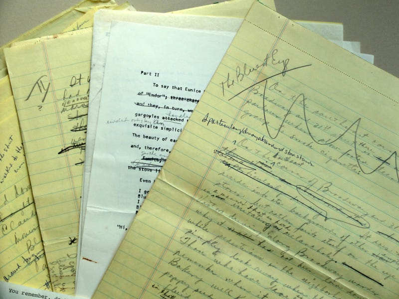 Part of the “Toni Morrison: Sites of Memory” exhibit at Princeton University.