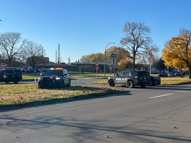 Police cars in Lincoln Park