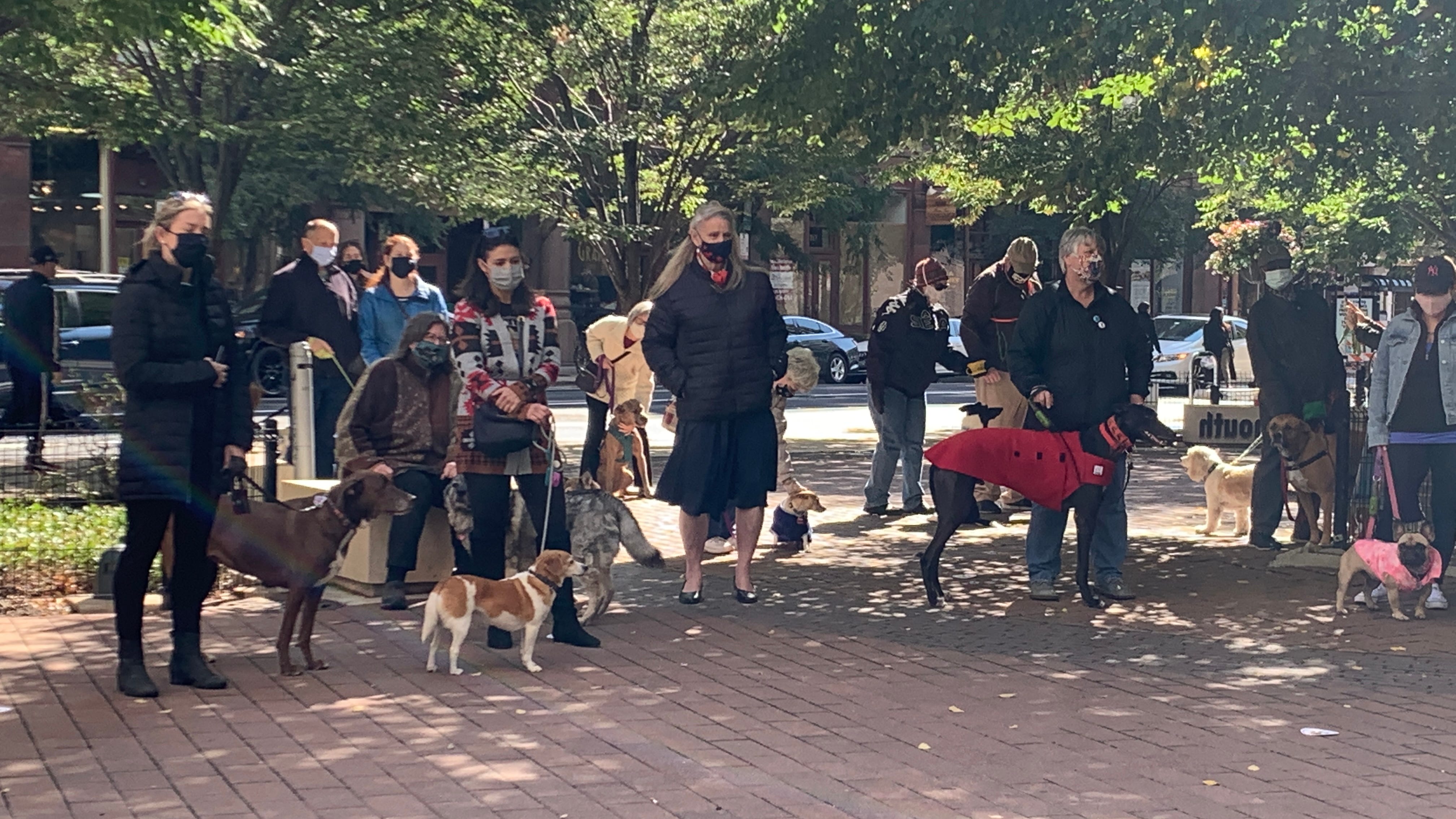 Chicago police horses among 60 pets blessed during church service