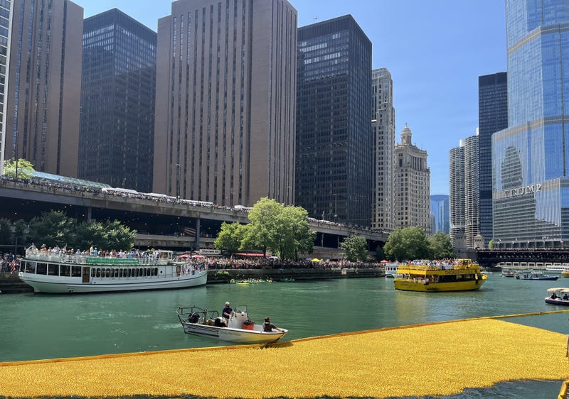 Rubber ducks — 100,000 of them — were dumped into the Chicago River on Wednesday for the annual Chicago Ducky Derby.