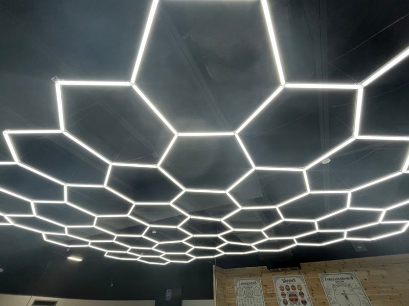Herbal IQ's unique ceiling design