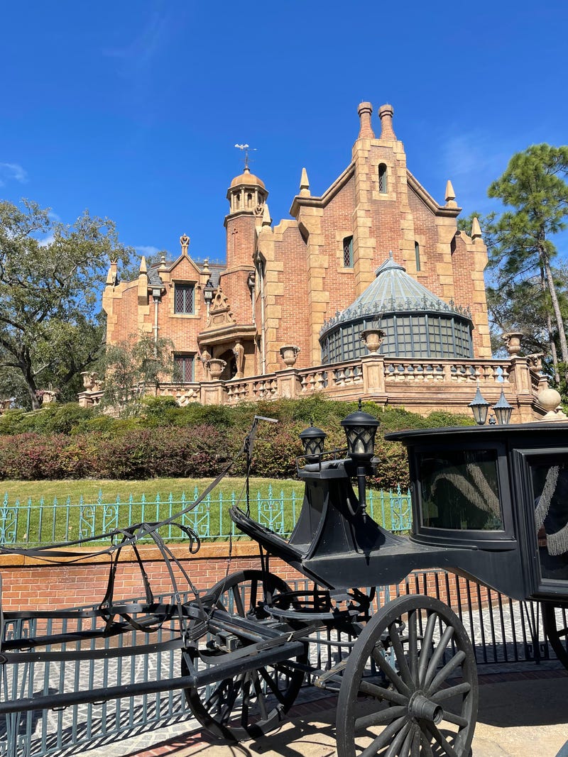 Coop's Adventures at Walt Disney World Resort