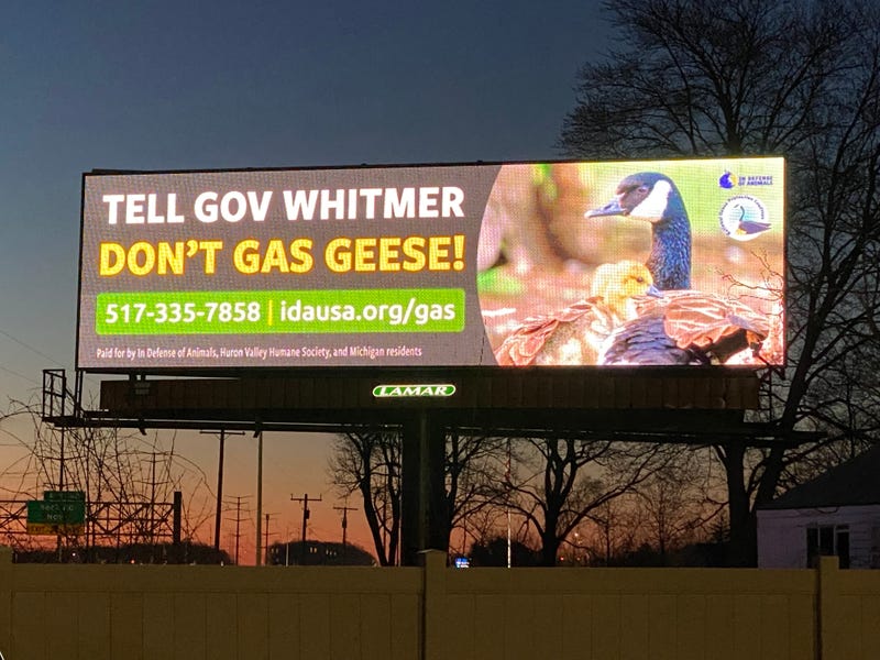 Billboard around I-96 says Tell Gov Whitmer Don't Gas Geese!