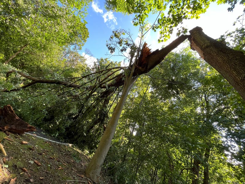 storm damage