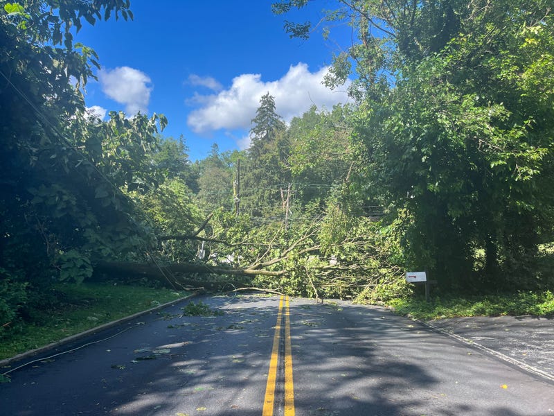storm damage