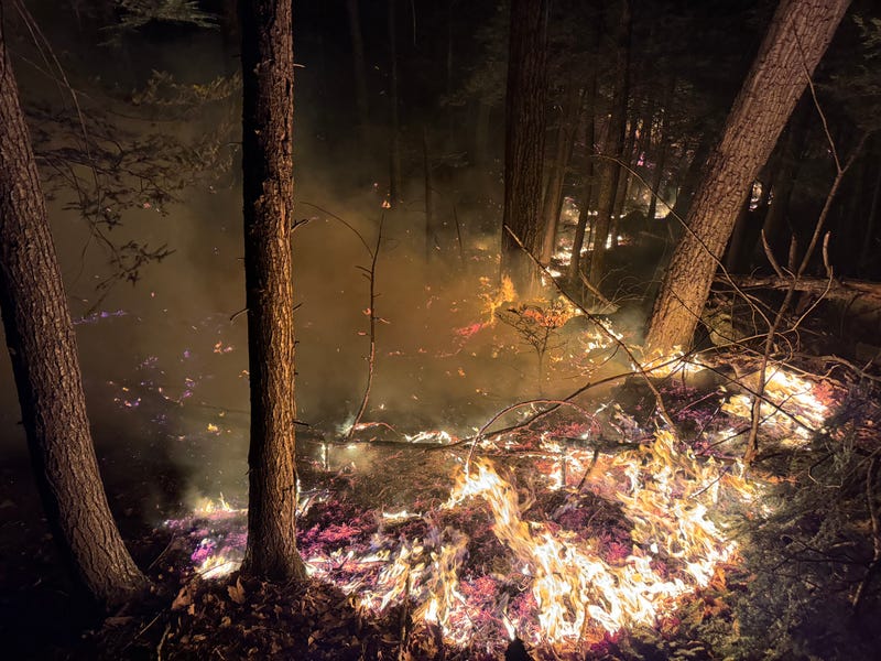 The Jennings Creek wildfire, which extends between New Jersey and New York, broke containment lines in the Empire State on Saturday, forcing hundreds to evacuate.