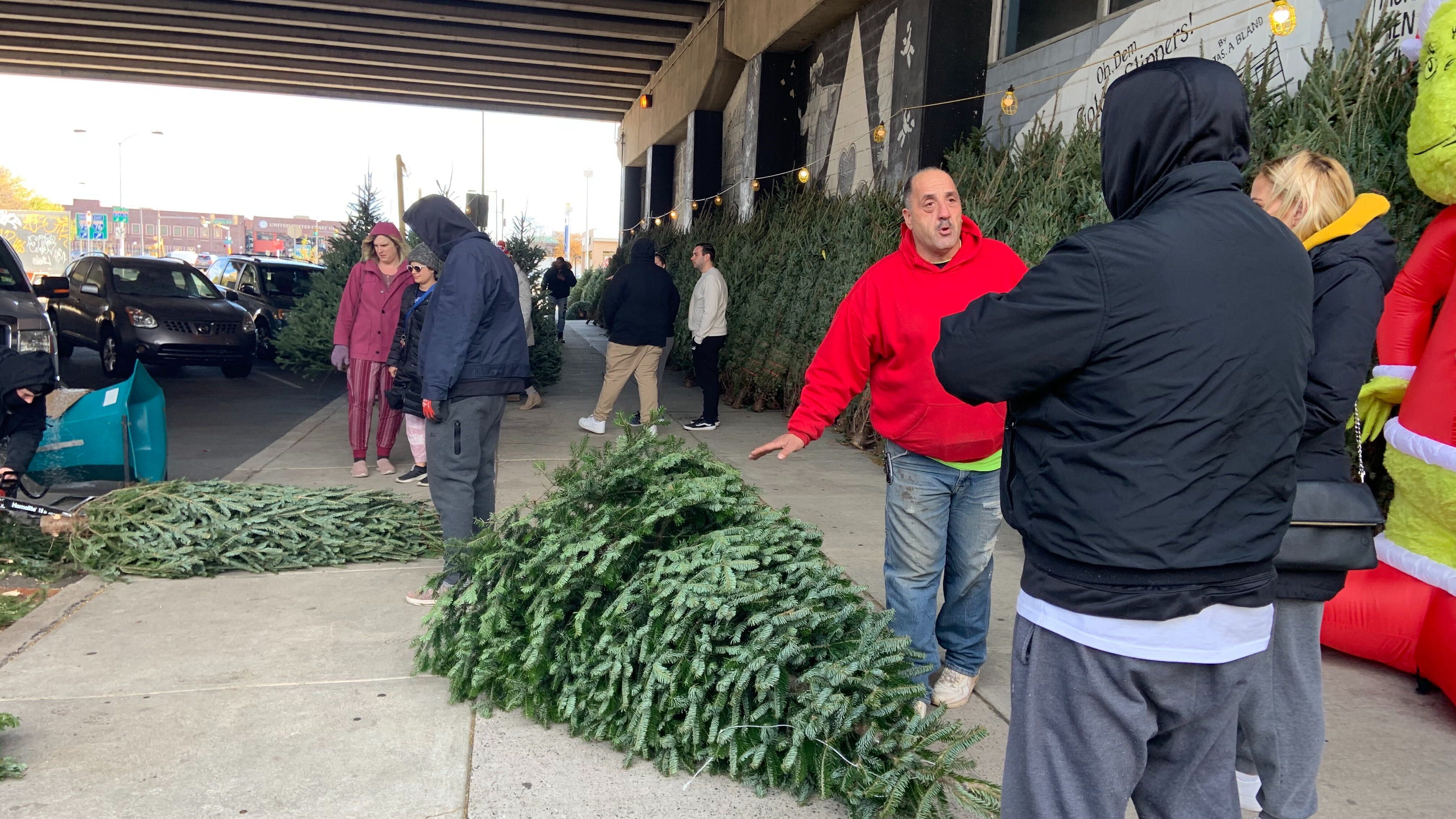 Be prepared to pay more for your Christmas tree this year