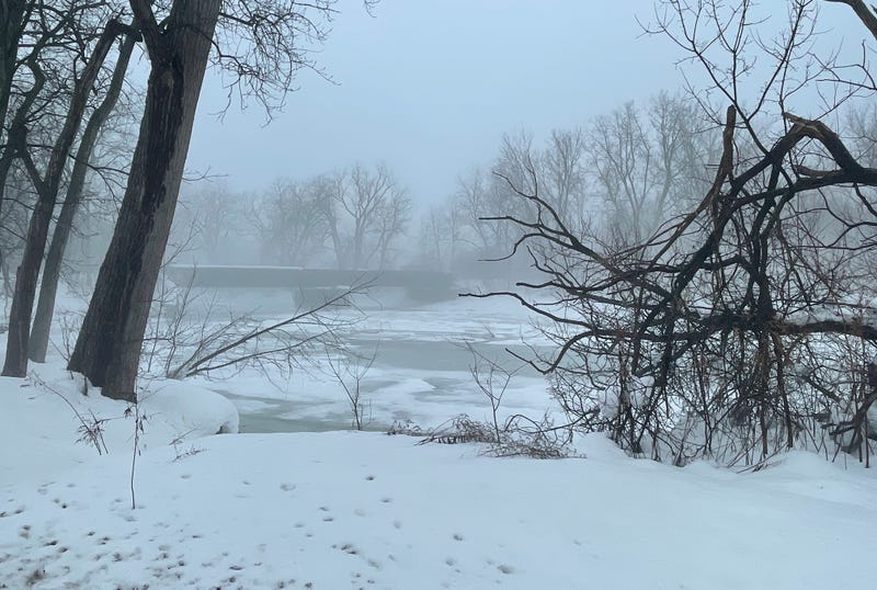 Buffalo Creek in West Seneca