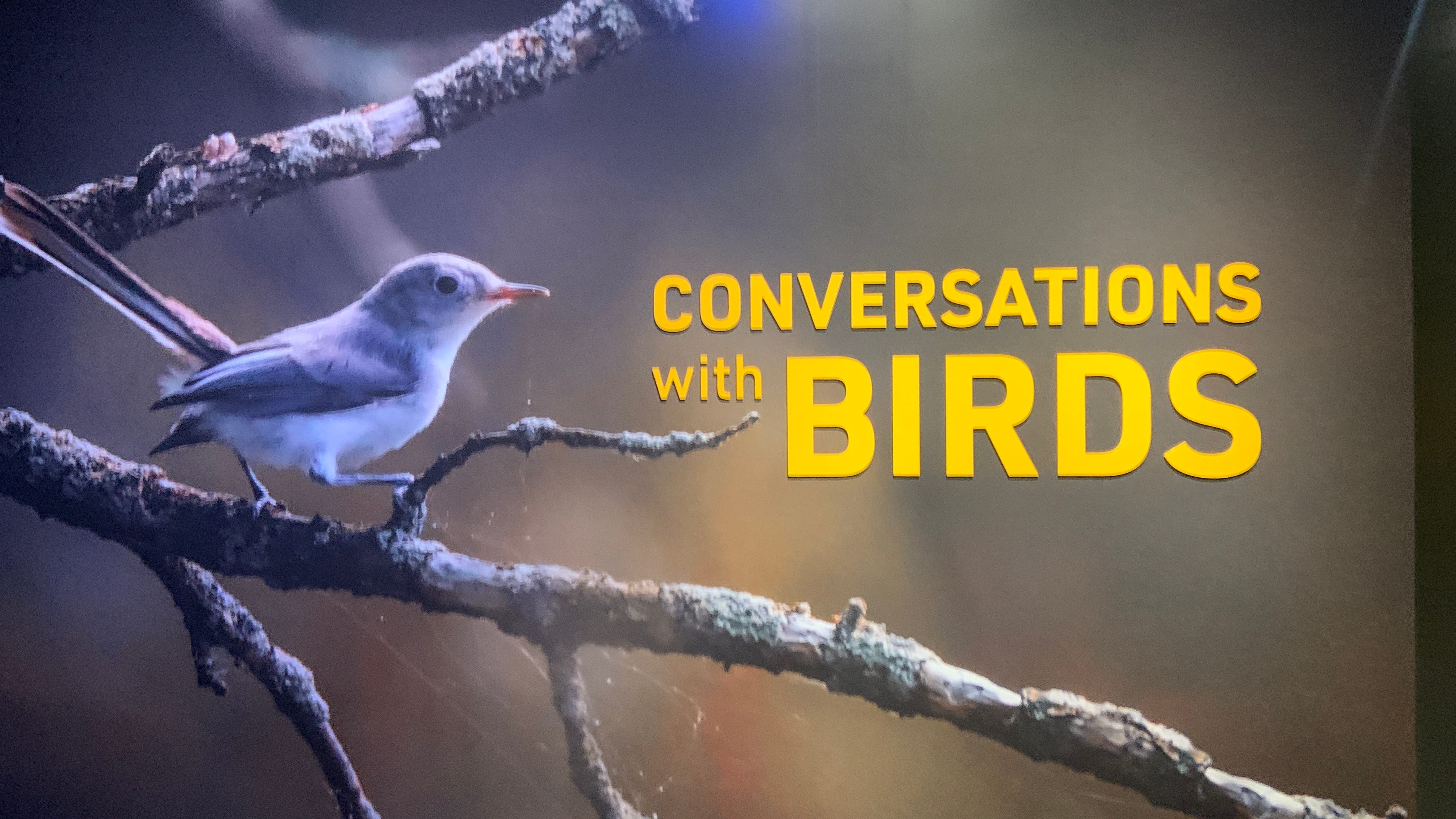 Drexel University exhibit celebrates passion for birds