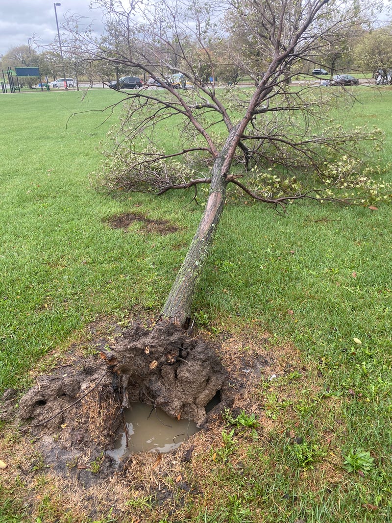 NWS meteorologist issues warning: ’Stay away from the lake today’