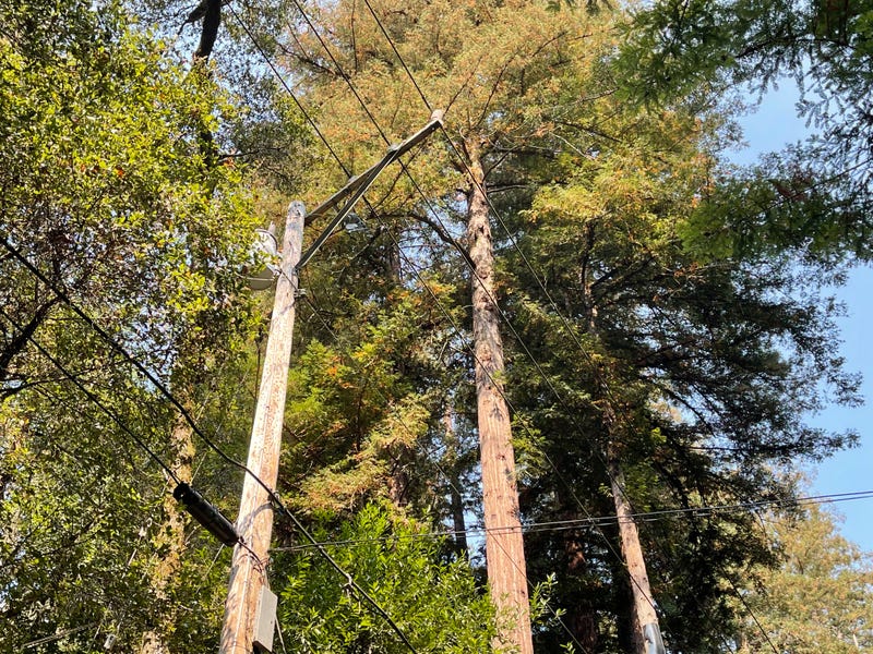 PG&E's wildfire safety plan is causing power outages in Santa Cruz.