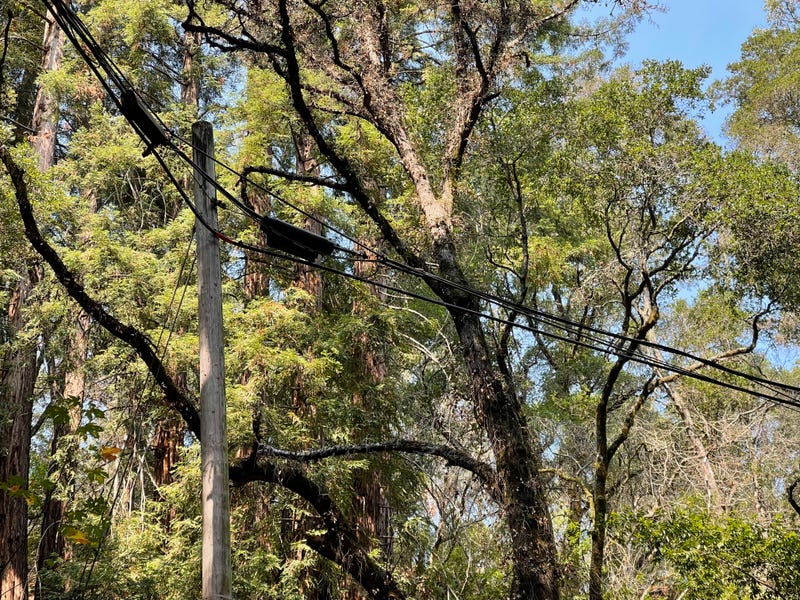 PG&E's wildfire safety plan is causing power outages in Santa Cruz.