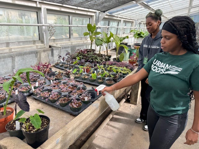 The greenhouse at the Garfield Park Conservatory