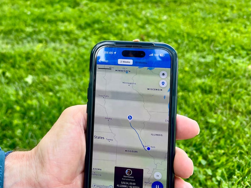 Saint Louis University biologist Stephen Blake holds an app showing the track of an owl first tagged in Forest Park.