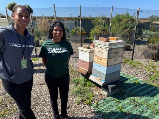Janice Zolicoffer (left), Jordan Ruffin (right) cultivate honey while beekeeping
