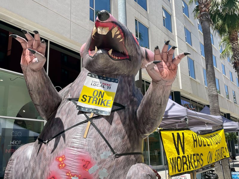 giant rat sculpture with sign taped to it that says unite here local 11 on strike