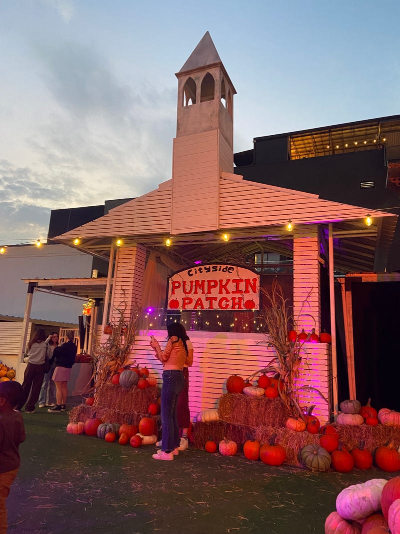 There's definitely an autumnal vibe ay the Cityside Pumpkin Patch.