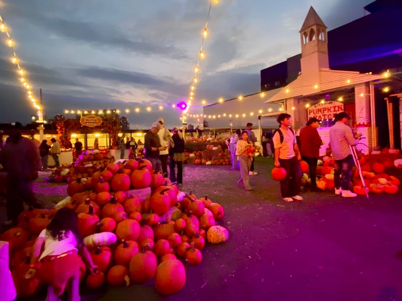 The Cityside Pumpkin Patch in Long Island City, which is open through Oct. 31. 