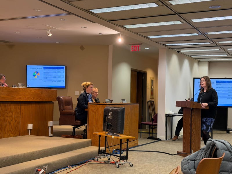 Delaware County Council budget meeting