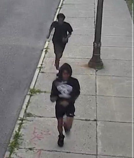 Crime Suspects