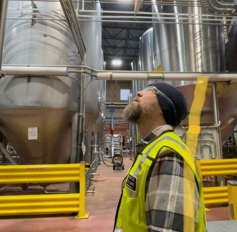 goose island