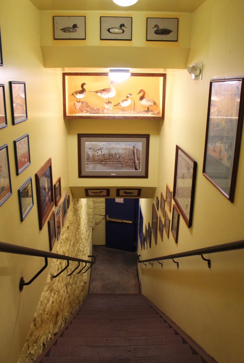 Duck Room