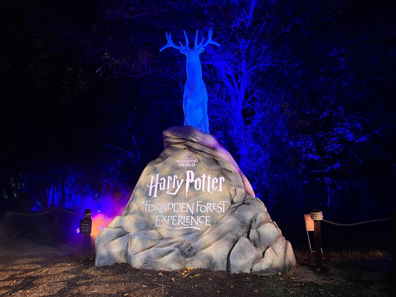 Harry Potter: A Forbidden Forest Experience is now open at Ingleside’s YMCA Camp Duncan. Tickets start at $46 for adults. 