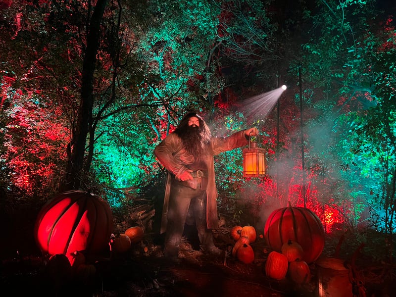 Rubeus Hagrid, the Hogwarts groundskeeper is one of several characters you can meet at the "Harry Potter: A Forbidden Forest" experience at Ingleside’s YMCA Camp Duncan.