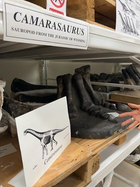 Field Museum