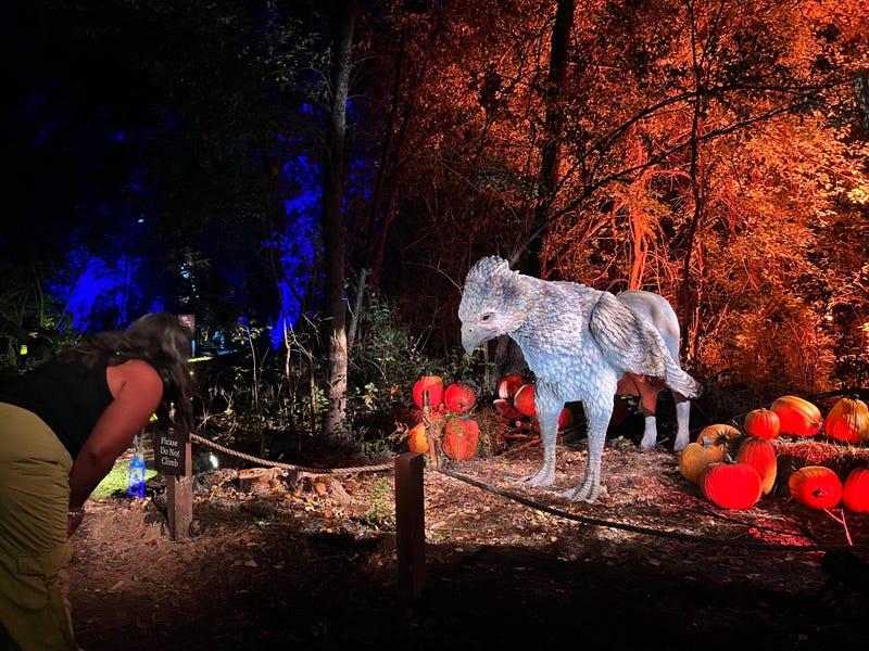 A visitor bows to Buckbeak the Hypogriff at the "Harry Potter: A Forbidden Forest Experience" at Ingleside’s YMCA Camp Duncan. Buckbeak is one of many familiar creatures visitors will encounter during the experience.