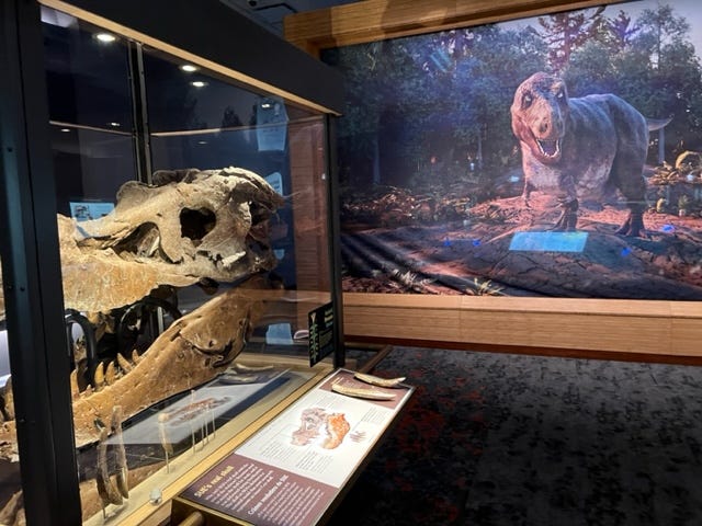 Field Museum