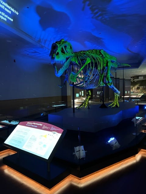 Field Museum