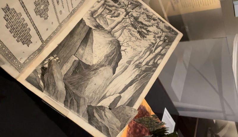 pop-up books