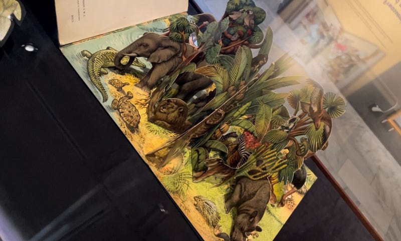 pop-up books