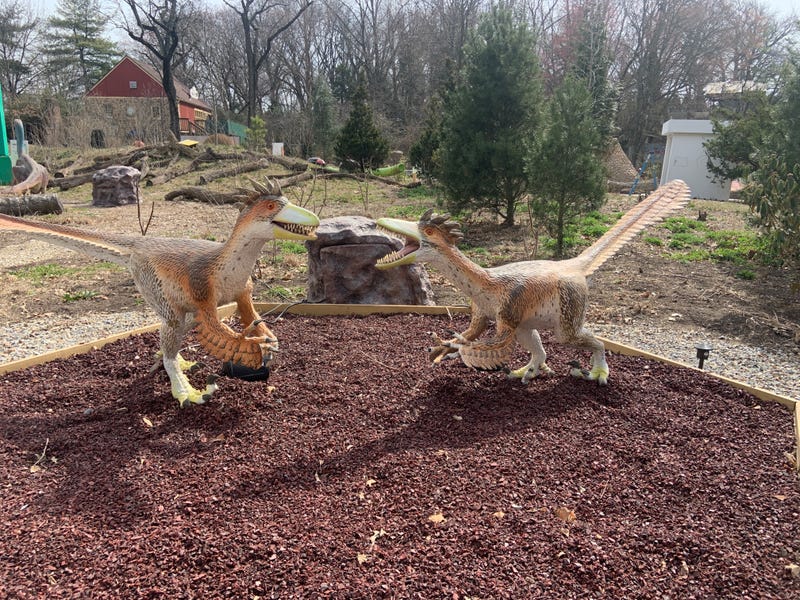 Velociraptors at the Philadelphia Zoo