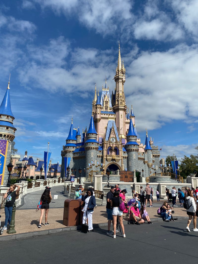 Coop's Adventures at Walt Disney World Resort
