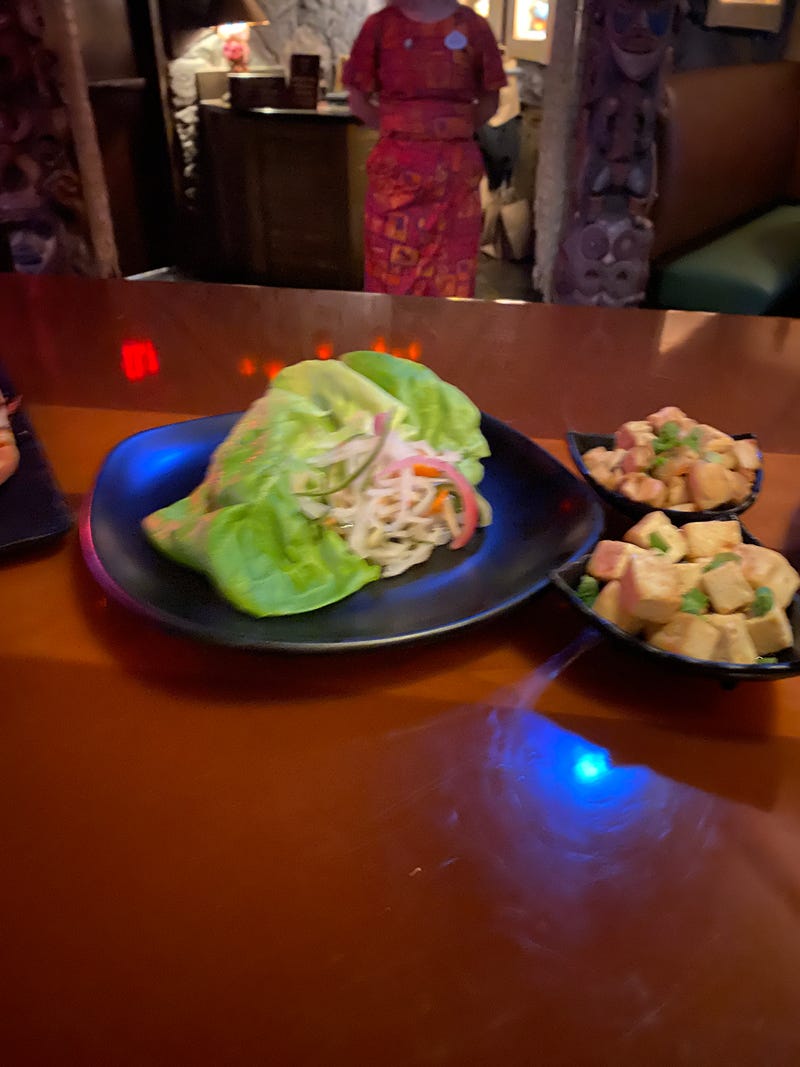 Coop's Adventures at Walt Disney World Resort