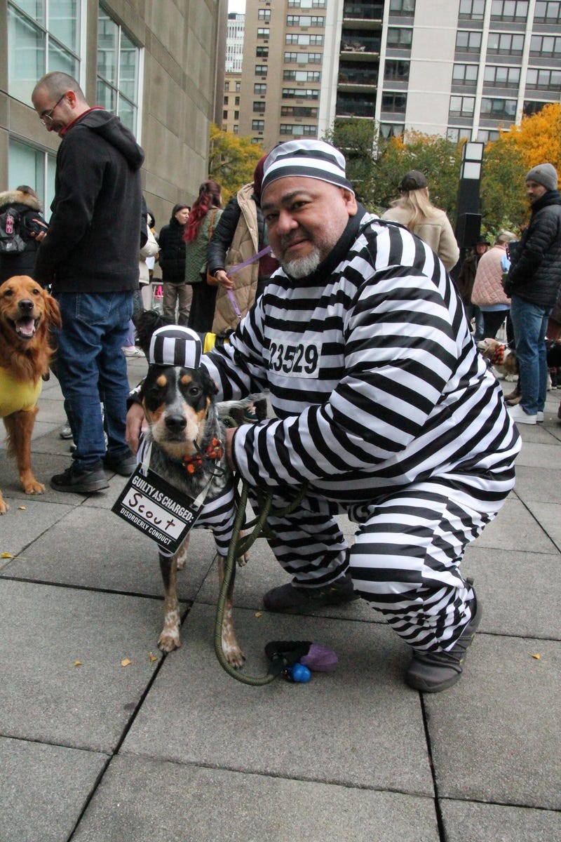 Man and dog dress as prisoners together. 